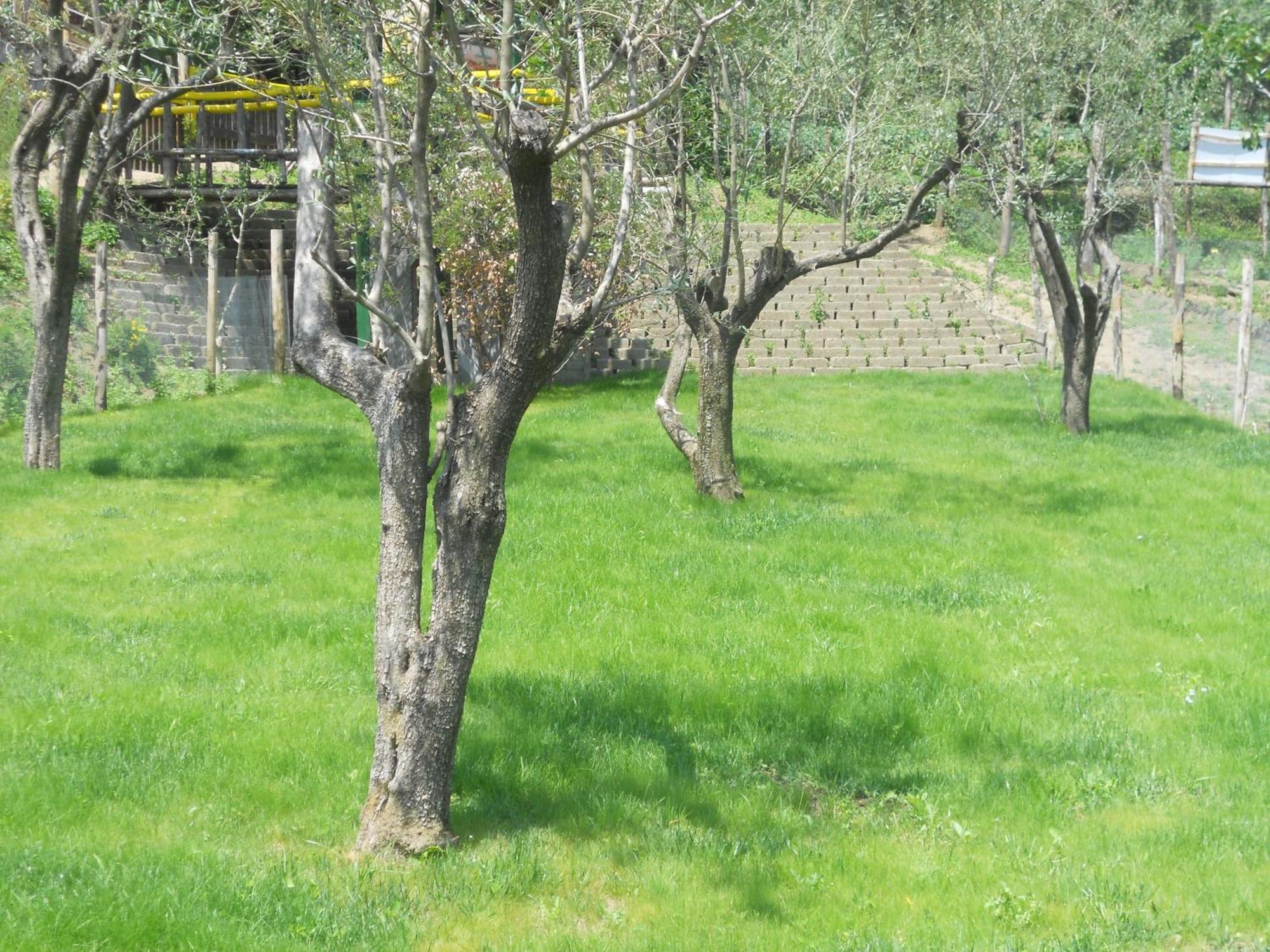 Agriturismo La Casa Del Ghiro Pimonte Exterior foto